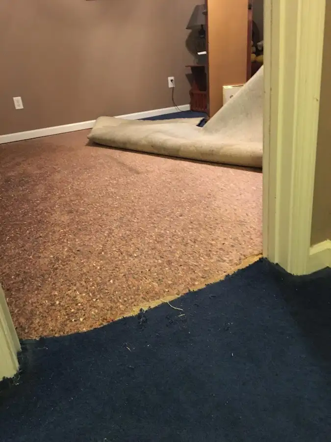 Carpet pad removal revealing water damage during Water Mitigation Services in Vermilion