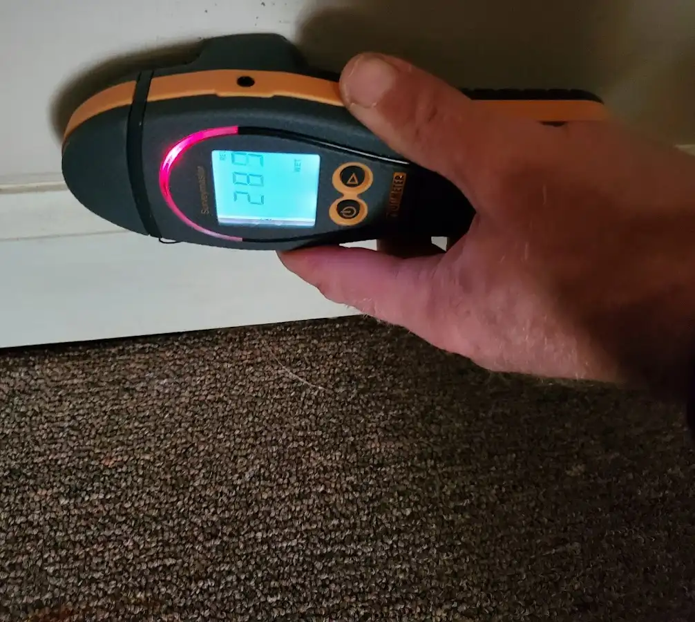 Moisture detection at baseboard during Sewage Cleanup & Sanitation in Vermilion